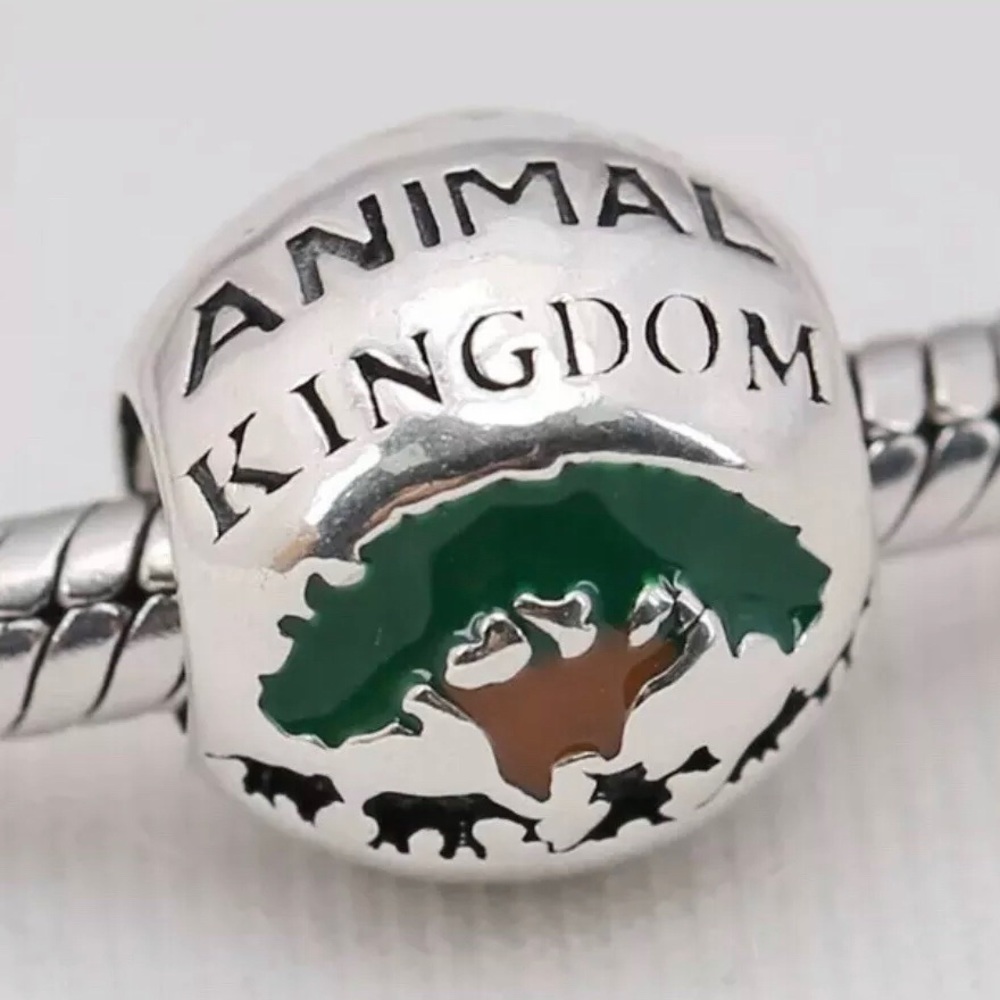 COPY - Disney’s Animal Kingdom charm/bead